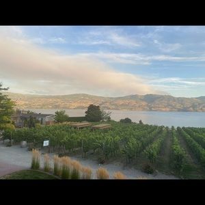 Meet your Posher, Suzanne